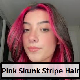 Pink Skunk Stripe Hair